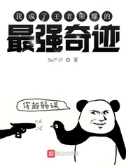 我成了王者荣耀的最强奇迹