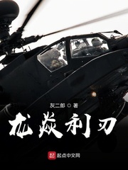 龙焱利刃