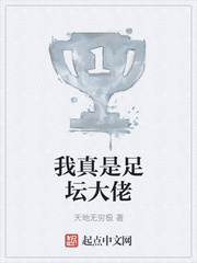 我真是足坛大佬