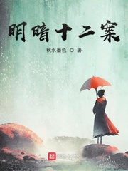 明暗十二案