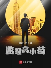 监理高小苟