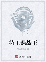 特工谍战王