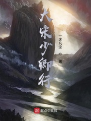 大宋少卿行