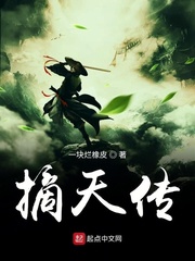 摘天传