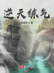 逆天练气