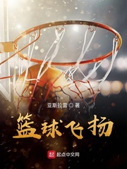 篮球飞扬