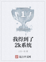 我得到了2k系统