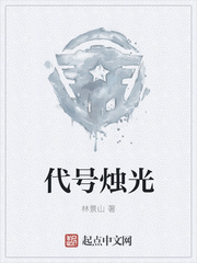 代号烛光