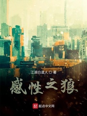 感性之狼
