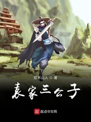 袁家三公子