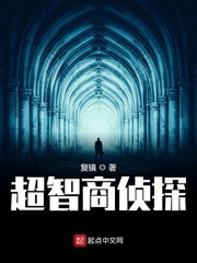 超智商侦探