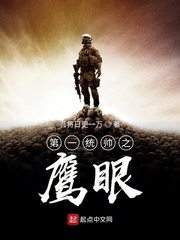 第一统帅之鹰眼