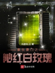 重生足球之沁红白玫瑰