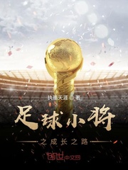 足球小将之成长之路