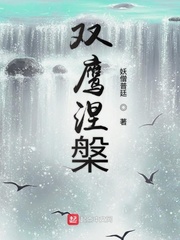 双鹰涅盘