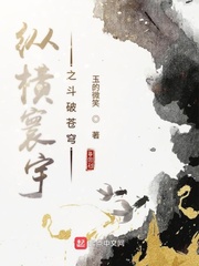 纵横寰宇之斗破苍穹