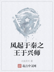 风起于秦之王于兴师