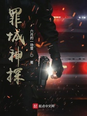 罪城神探