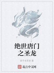 绝世唐门之圣龙