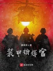 装甲指挥官