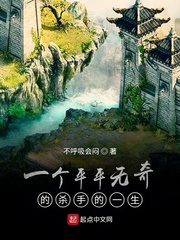 一个平平无奇的杀手的一生
