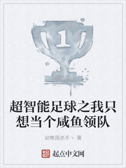 超智能足球之我只想当个咸鱼领队