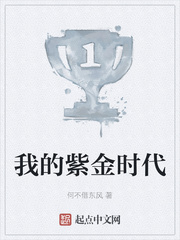 我的紫金时代