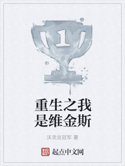 重生之我是维金斯