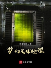 梦幻足球经理