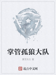 掌管孤狼大队