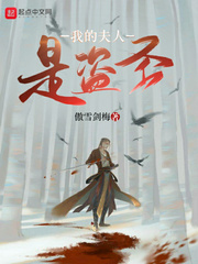我的夫人是盗圣