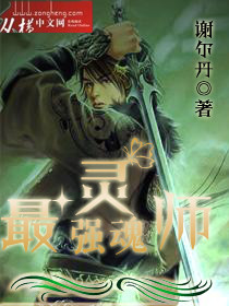 最强灵魂师