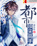 都市顶尖高手