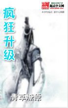 疯狂升级