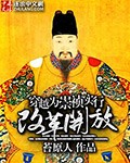 穿越为崇祯实行改革开放