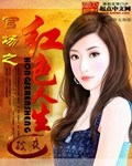 官场之红色人生