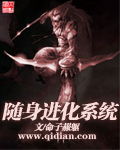 随身进化系统