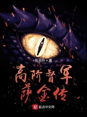 高阶督军萨金传