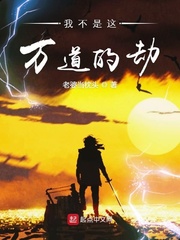 我不是这万道的劫