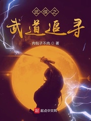 武侠之武道追寻