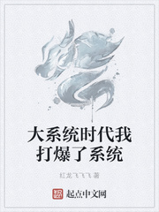 大系统时代我打爆了系统