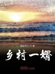 乡村一婿