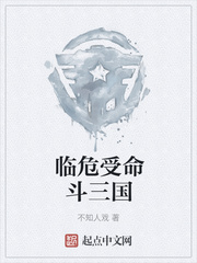 临危受命斗三国