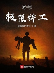 我的极限特工