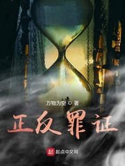 正反警探