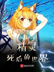 精灵死后的世界