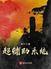 超辅助系统