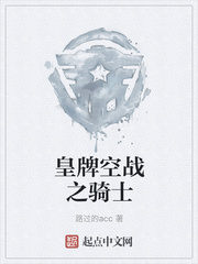 皇牌空战之骑士