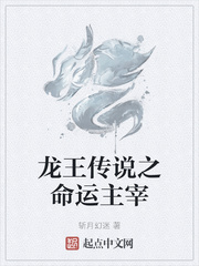 龙王传说之命运主宰