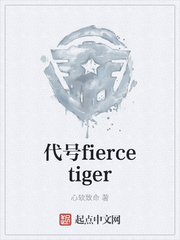 代号fiercetiger